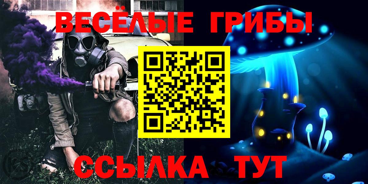 Псилоцибиновые грибы Magic Shrooms  Вход с VPN  Дивногорск  Псилоцибиновые грибы Psilocybine cubensis 