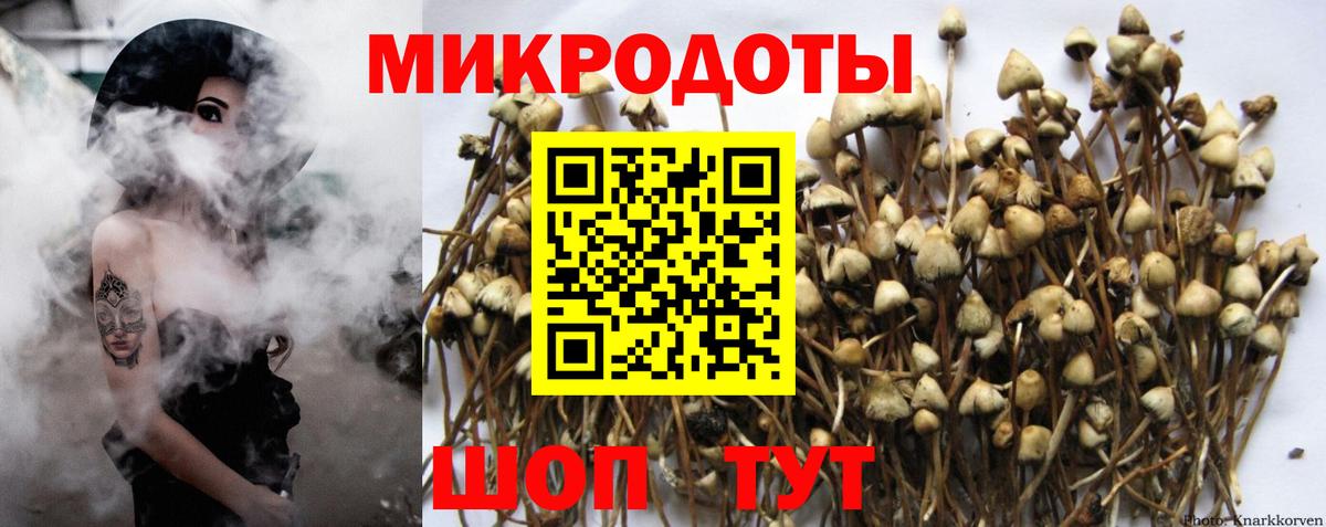 Псилоцибиновые грибы MAGIC MUSHROOMS Дивногорск